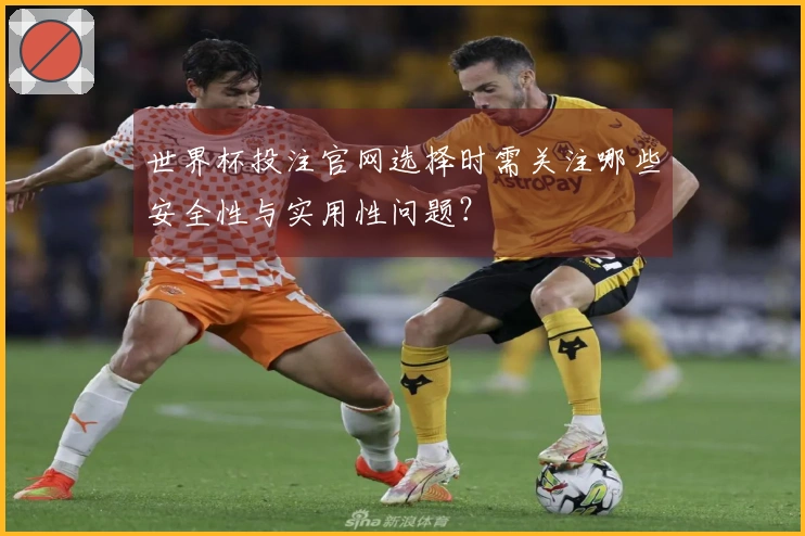 世界杯投注官网选择时需关注哪些安全性与实用性问题？