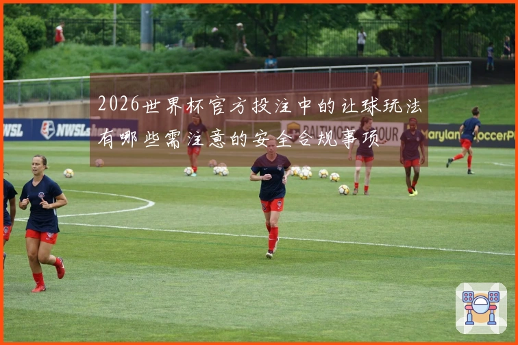 2026世界杯官方投注中的让球玩法有哪些需注意的安全合规事项