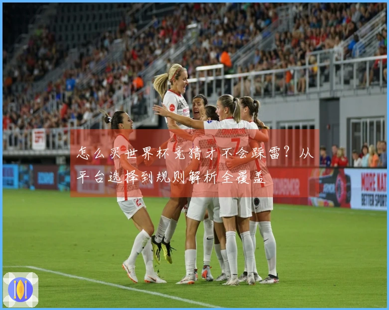 怎么买世界杯竞猜才不会踩雷？从平台选择到规则解析全覆盖
