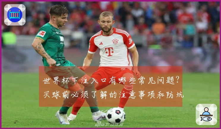 世界杯下注入口有哪些常见问题？买球前必须了解的注意事项和防坑技巧