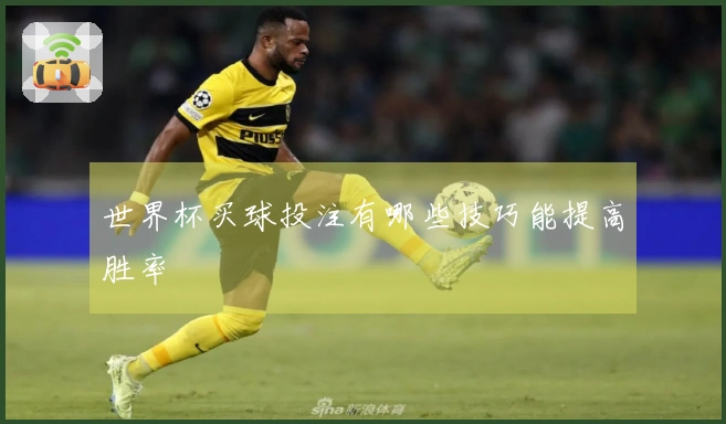 世界杯买球投注有哪些技巧能提高胜率