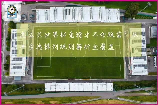 怎么买世界杯竞猜才不会踩雷？从平台选择到规则解析全覆盖